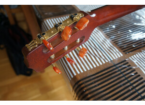 Takamine EN30C (83739)