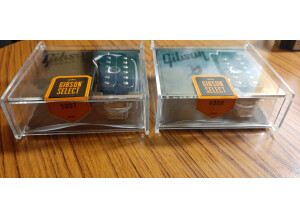 MicroGibson2