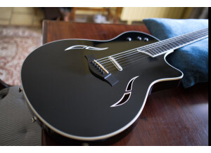 Taylor T5-S1 (52170)