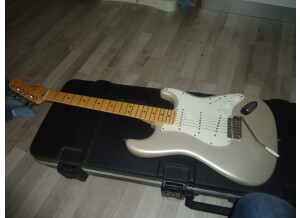 Fender Stratocaster (43198)