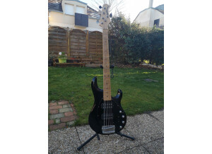 Music Man StingRay 5 HH (7705)