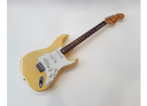 Fender Stratocaster Hardtail [1973-1983] (99283)