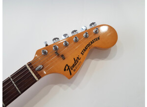 Fender Stratocaster Hardtail [1973-1983] (4263)