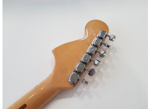 Fender Stratocaster Hardtail [1973-1983] (39210)
