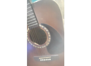Art & Lutherie Cedar Antique Left QI Gaucher 7