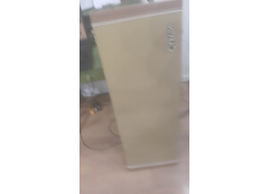 Carvin AC 175 Flycase 2