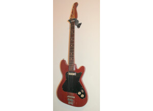 framus2.JPG