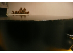 Art & Lutherie Cedar (68994)