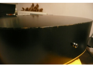 Art & Lutherie Cedar (90163)