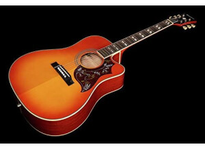 Epiphone 2018 Limited Edition Hummingbird Performer Pro