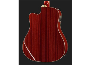 Epiphone Hummingbird Performer Pro FCB (45820)