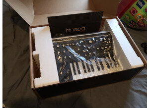 Moog Music Subsequent 25 (26799)
