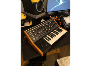 Moog Music Subsequent 25 (71550)