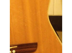 Godin Multiac Duet Steel (59905)