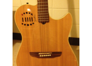 Godin Multiac Duet Steel (98712)