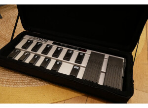 DV Mark Multiamp Mono (3951)