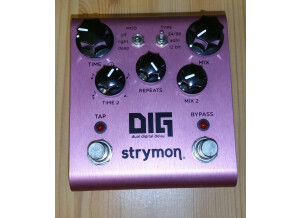 Strymon DIG (43105)