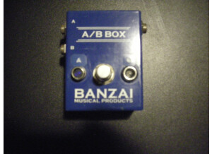 Banzai AB box pic 2.JPG