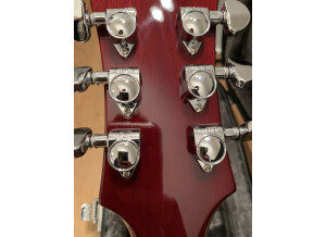 Epiphone 10