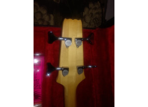 Aria Pro II LEB Heritage (11950)