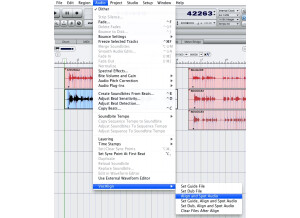 Synchro Arts VocALign Project 3 (29252)