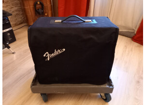 Fender Pro Tube Princeton Recording Amp (73615)