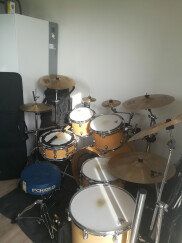 Premier Artist Maple