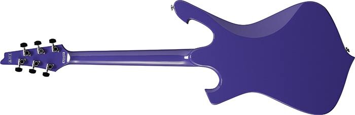 PGM2021 PGM2021