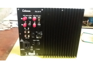 Cabasse TSA250W