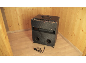 Ampeg B-100R (43481)