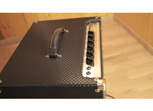 Ampeg B-100R (23315)