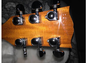 Gibson ES-339 30/60 Slender Neck (5758)