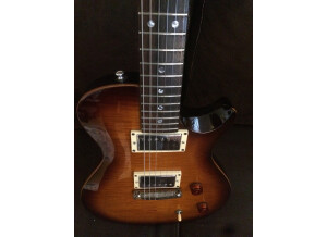 PRS SE Singlecut (43242)