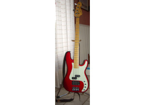 Sandberg (Bass) California Nighthawk VM (47843)