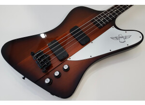 Gibson Thunderbird IV (20765)