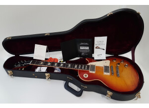Gibson 1960 Les Paul Standard Reissue 2013 (63410)