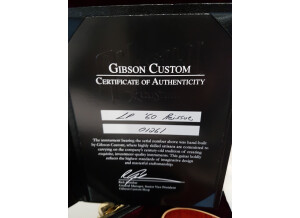 Gibson 1960 Les Paul Standard Reissue 2013 (39681)