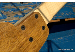 M7Instruments Basse voyage démontable (23590)