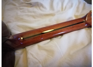 Alhambra Guitars 5P (67589)