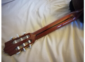 Alhambra Guitars 5P (40437)