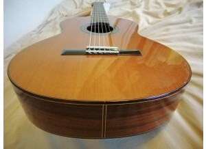 Alhambra Guitars 5P (76120)