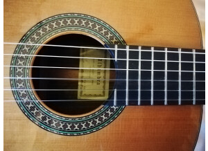 Alhambra Guitars 5P (47302)