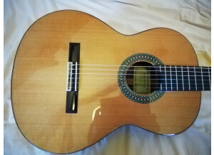 Alhambra Guitars 5P (37426)