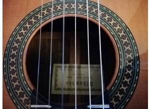 Alhambra Guitars 5P (14142)
