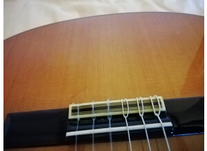 Alhambra Guitars 5P (640)