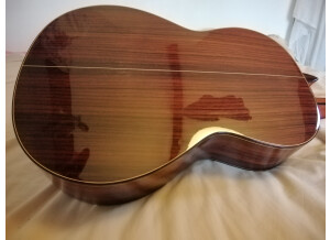 Alhambra Guitars 5P (89338)