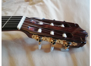 Alhambra Guitars 5P (65475)