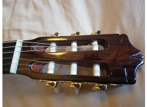 Alhambra Guitars 5P (66707)