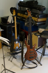 Mayones Be 4 Fretless