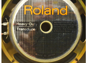 Roland Heavy Duty Transducer (78928)